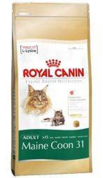 Royal Canin FBN Main Coon 31 4 kg