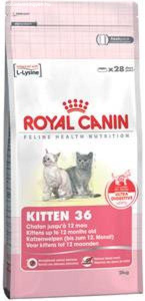 Royal Canin FHN Kitten 36 4 kg