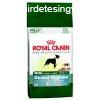 Royal Canin MINI DENTAL HYGIENE kutyatp 1,5 kg