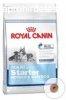 Royal Canin Maxi Starter Mother & Babydog 4 kg